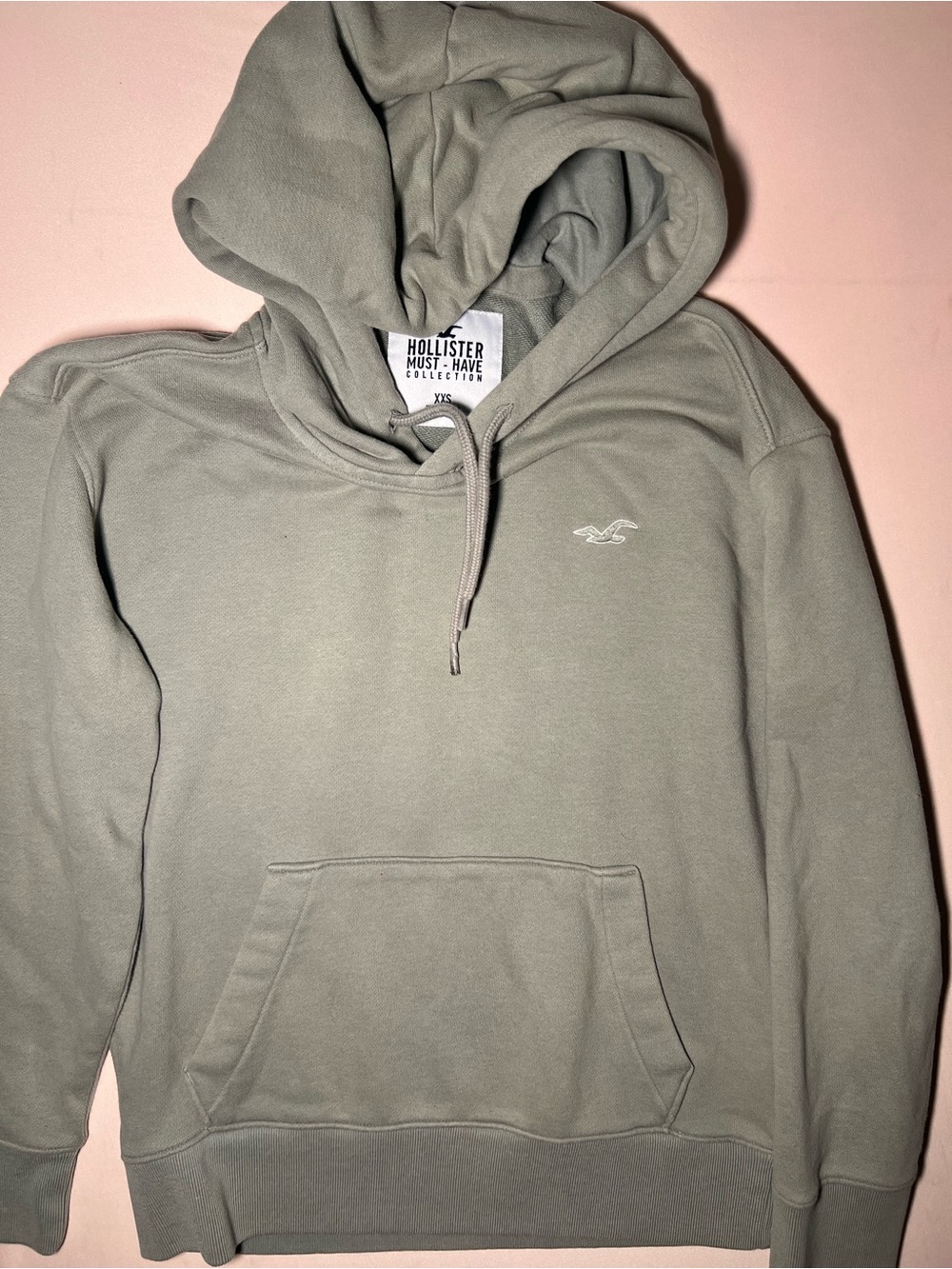 Hollister Sage Green Pullover Hoodie with Embroidered Seagull